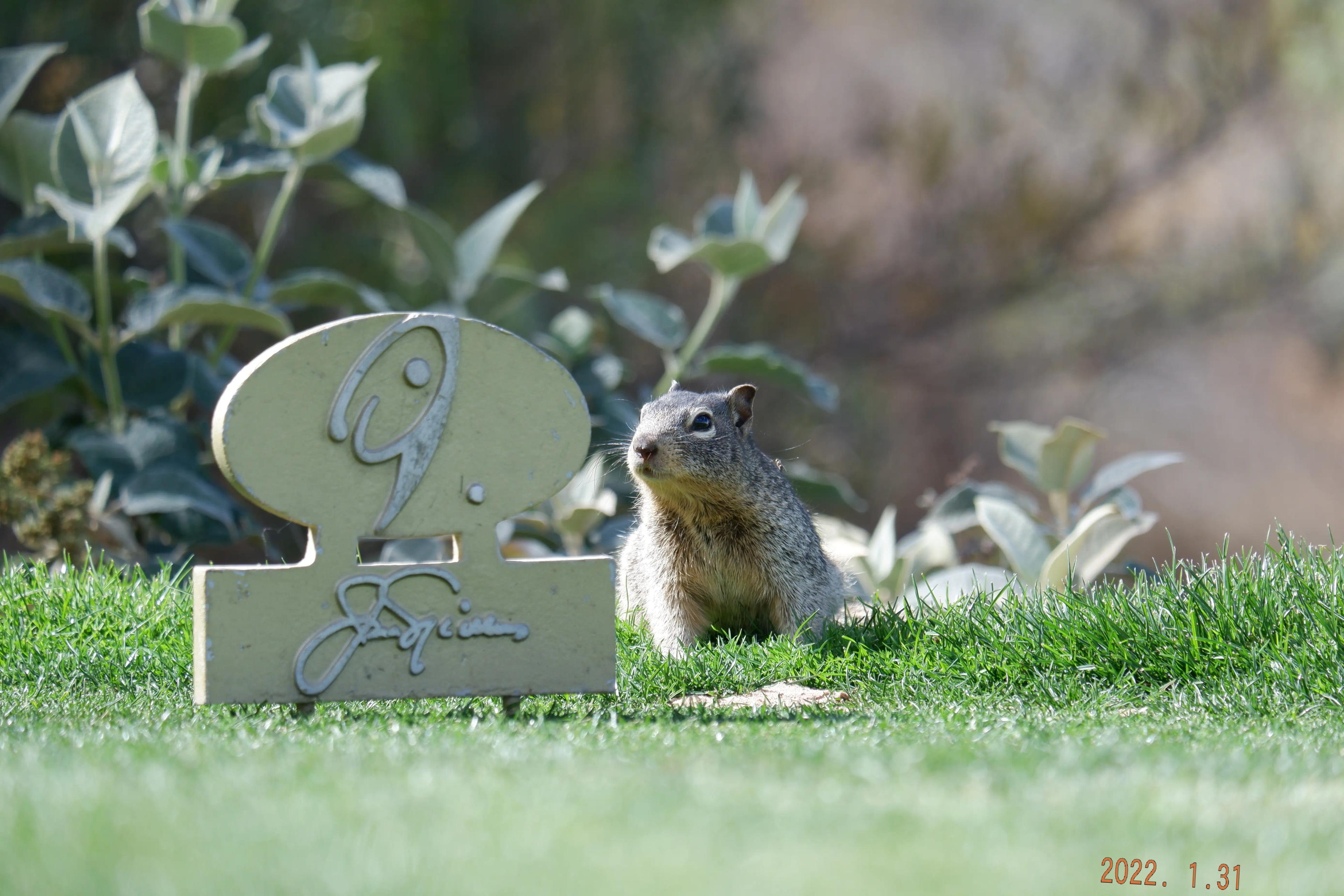 Proyecto Club de Golf La Loma - Revolta