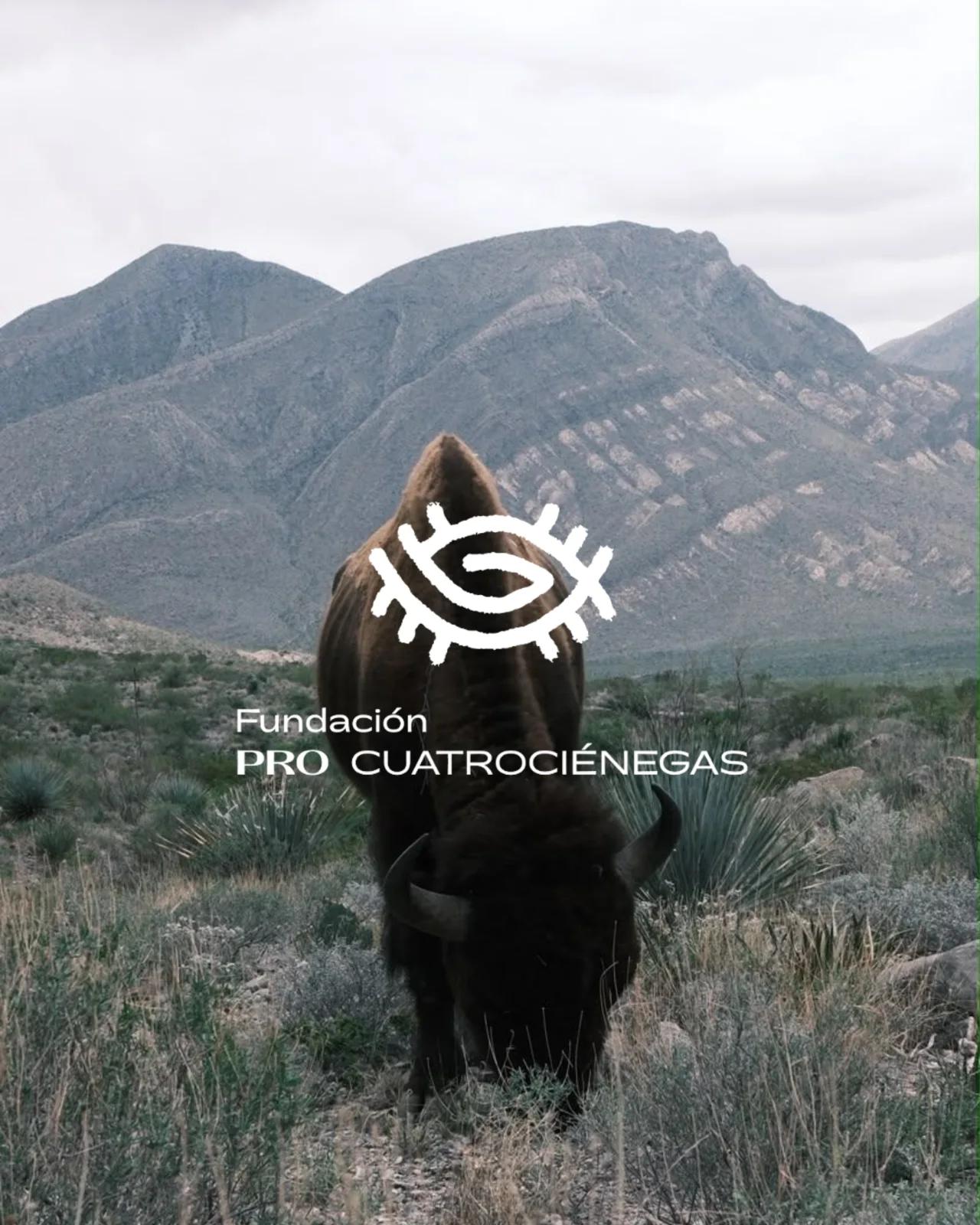 Proyecto Fundación Pro Cuatro Ciénegas - Revolta