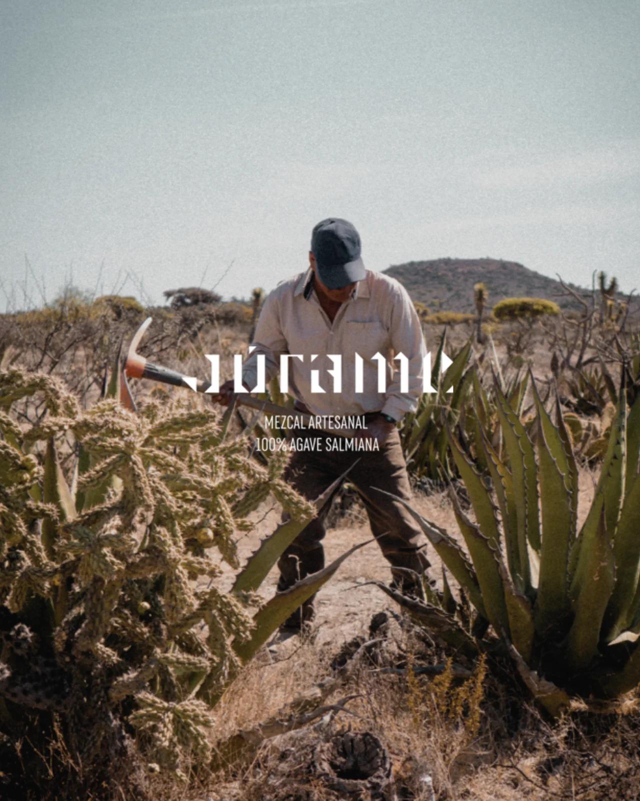 Proyecto Júrame - Revolta